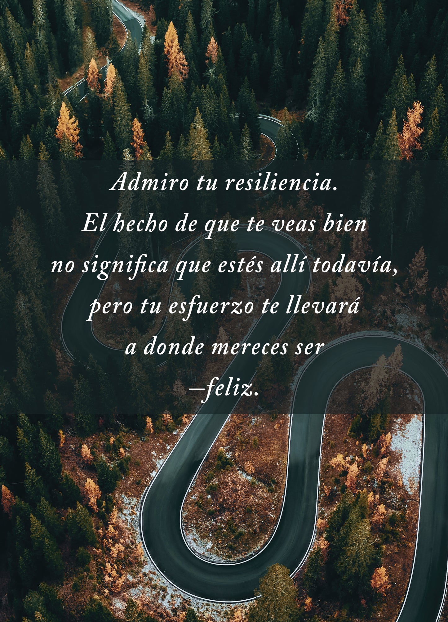 3-Pack Cards (SPANISH)