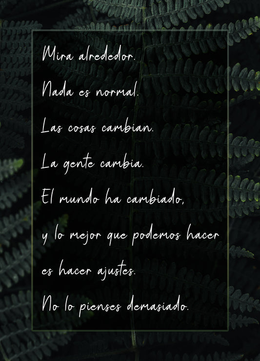 3-Pack Cards (SPANISH)